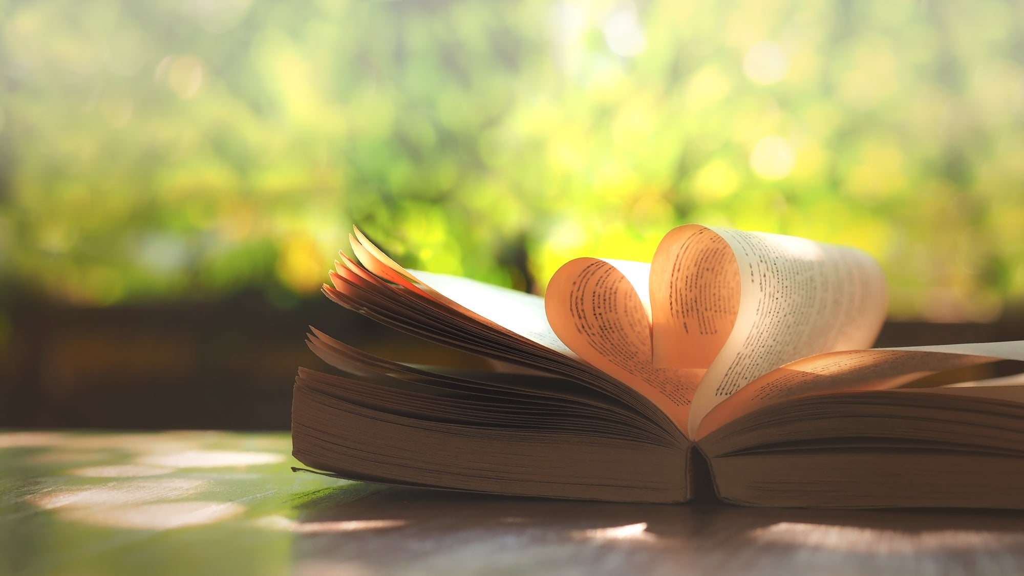6 reasons why we love Snugbook!