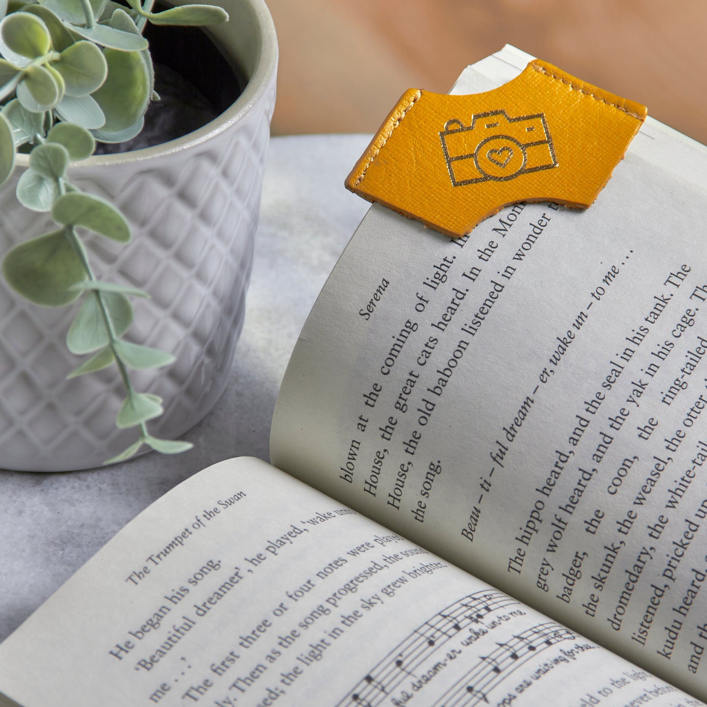 🎁 Genuine Leather Corner Bookmark - Camera Icon (100% off)