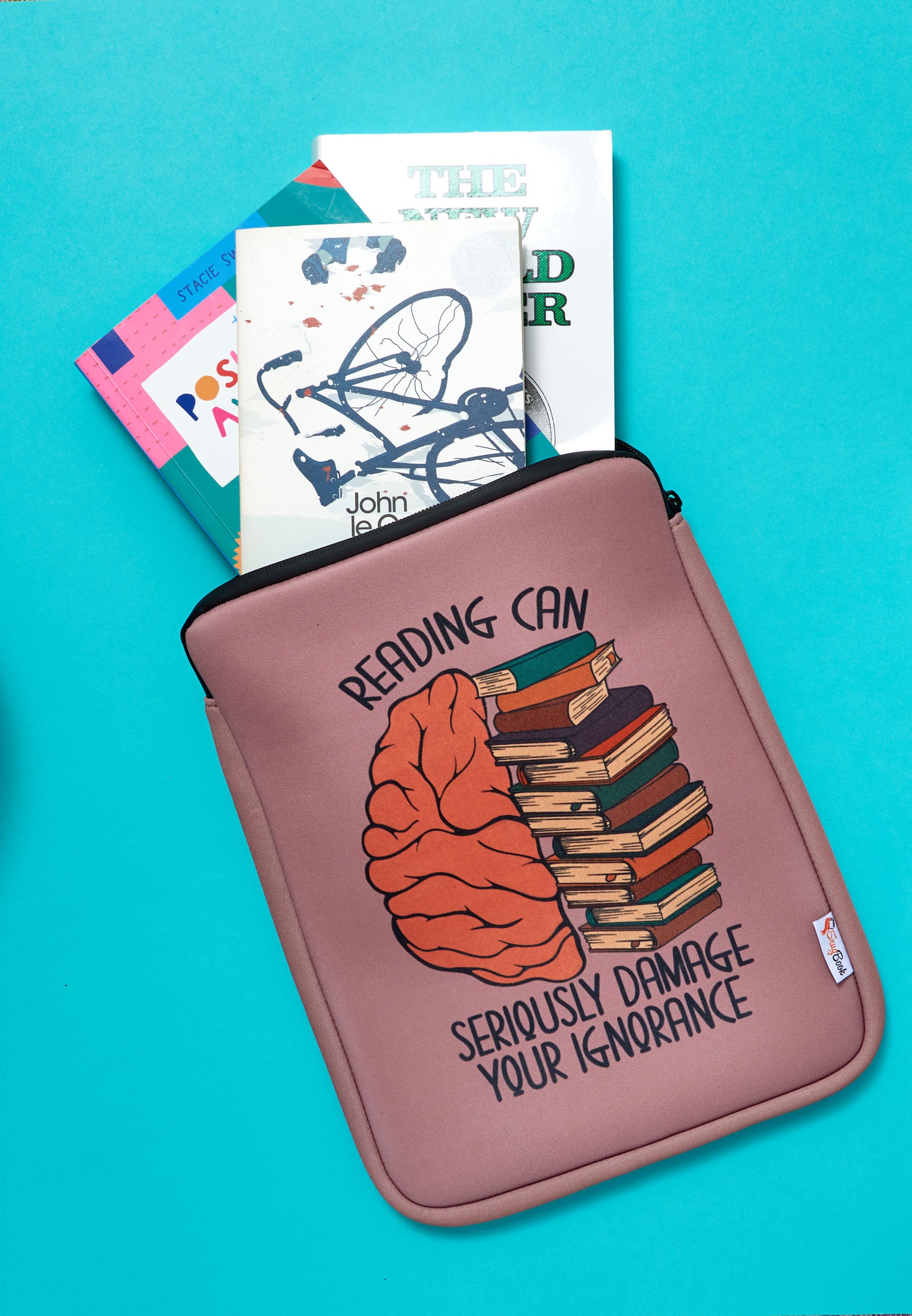 Book Pouch Bibliophile reading can damage your ignorance. book lovers gifts book quotes book sleeves book protection  snugbook 